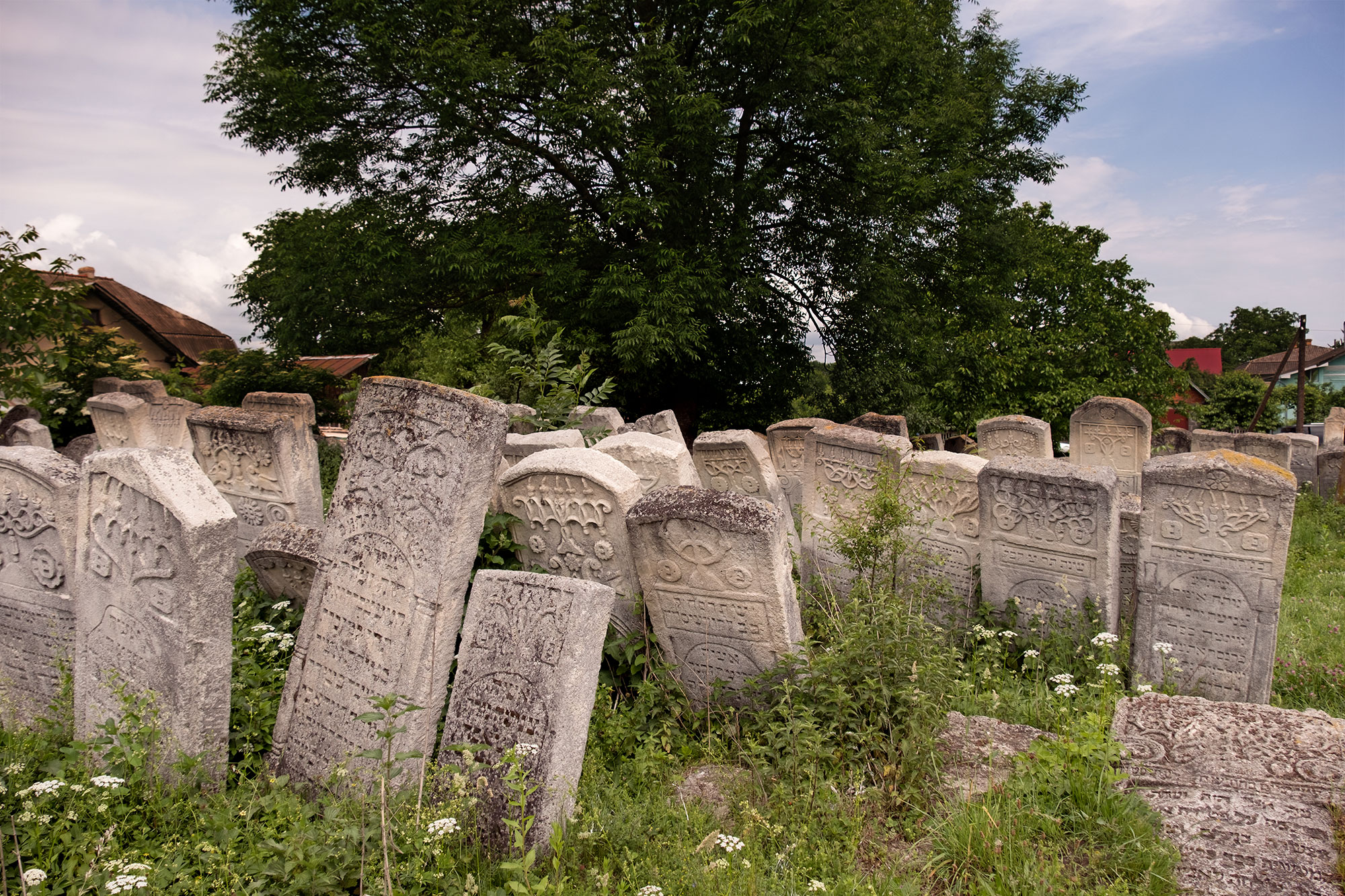 Lviv_Jewish-Cemetery2
